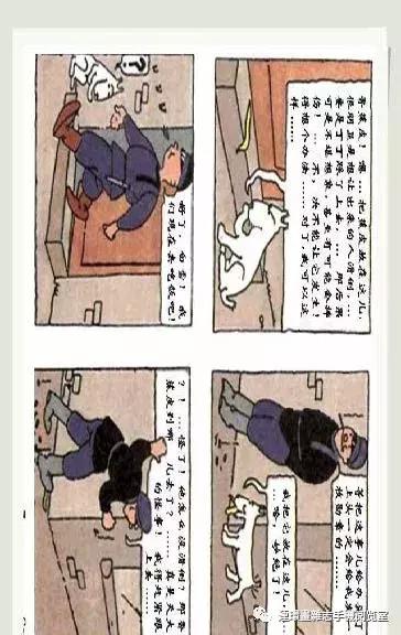 丁丁和丁丁历险记论文,丁丁历险记丁丁的服装