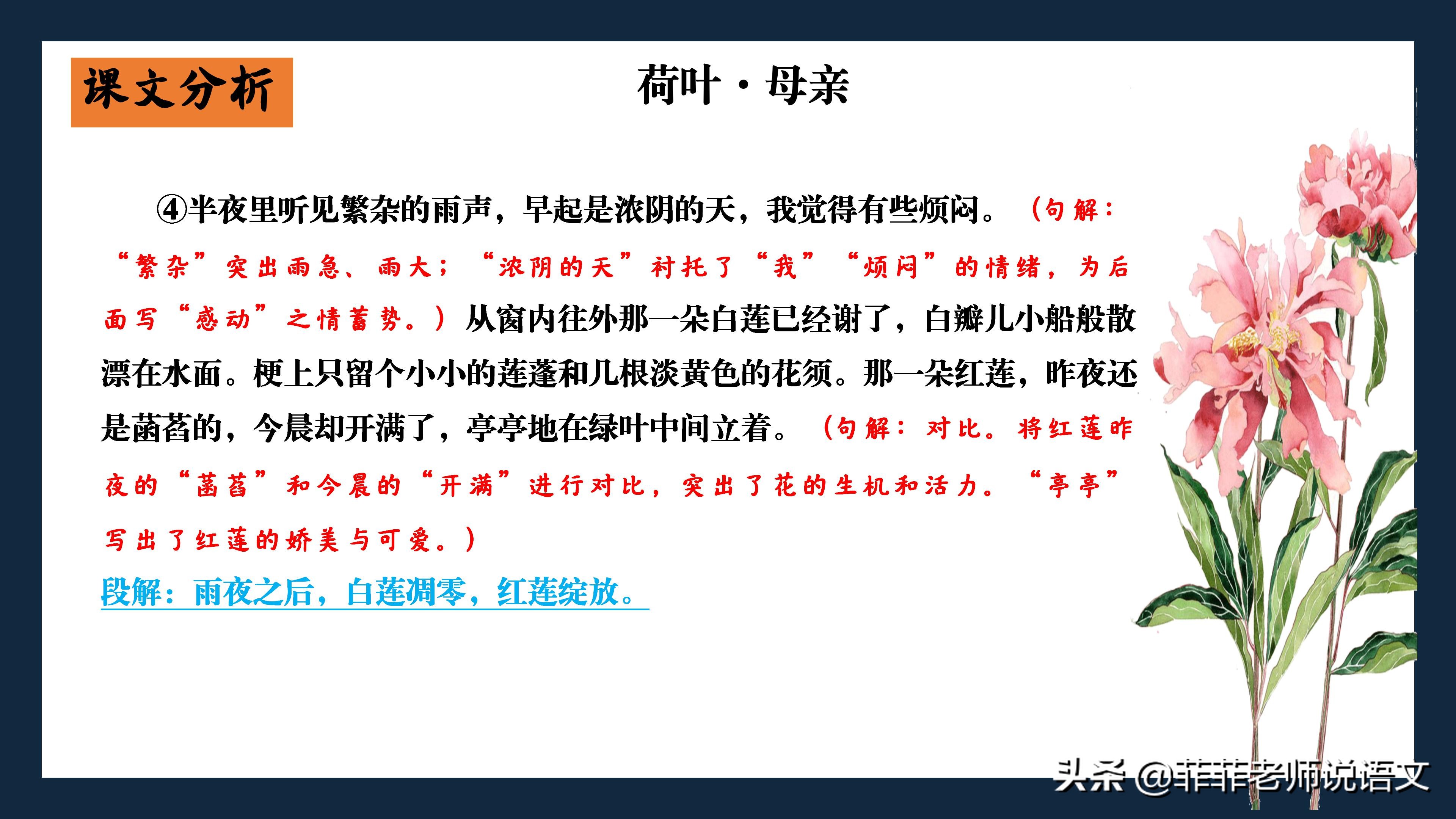 七年级上册第7课散文诗二首字词,七年级上册语文第7课笔记电子版