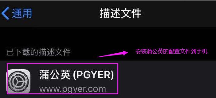 ios软件测试怎么测试的,iosapp自动化测试入门培训