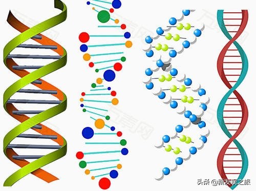 世上真的有长生不老液吗,世上真有长生不老术吗