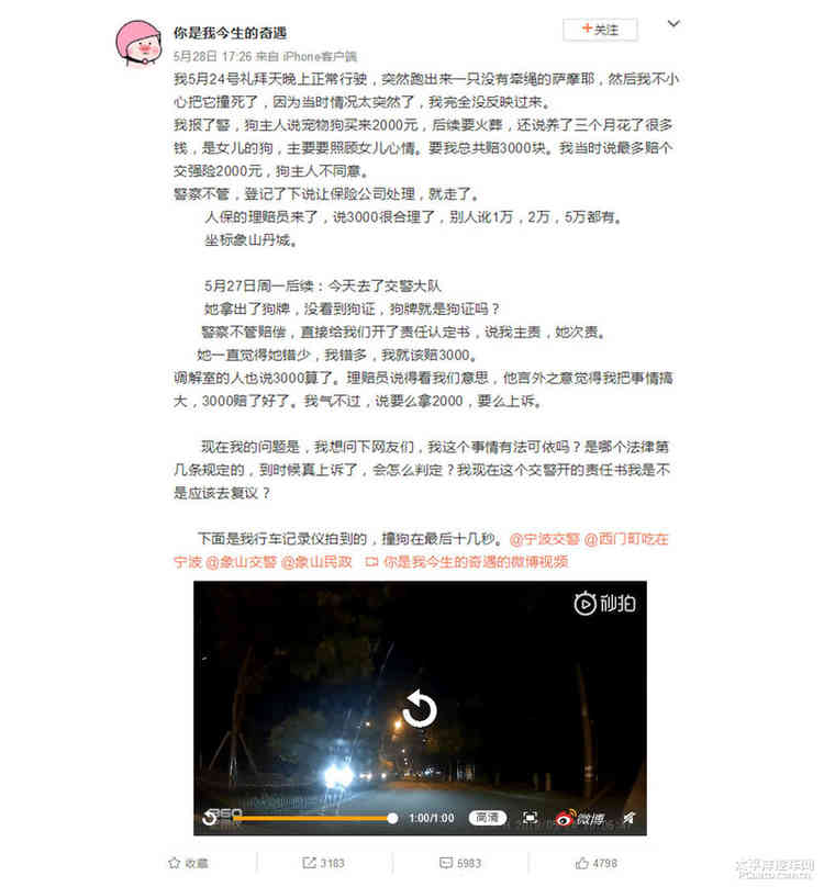 避之唯恐不及车撞死狗后该如何处理？