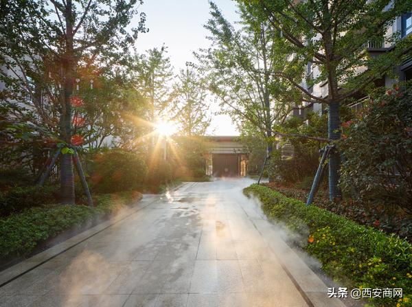 浐灞碧桂园未来趋势,碧桂园顶跃西安浐灞