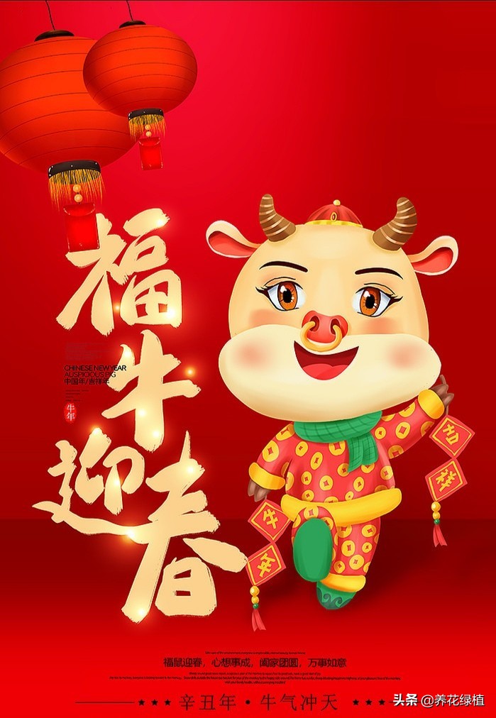 牛年是否从立春开始,牛年是从立春开始还是初一开始