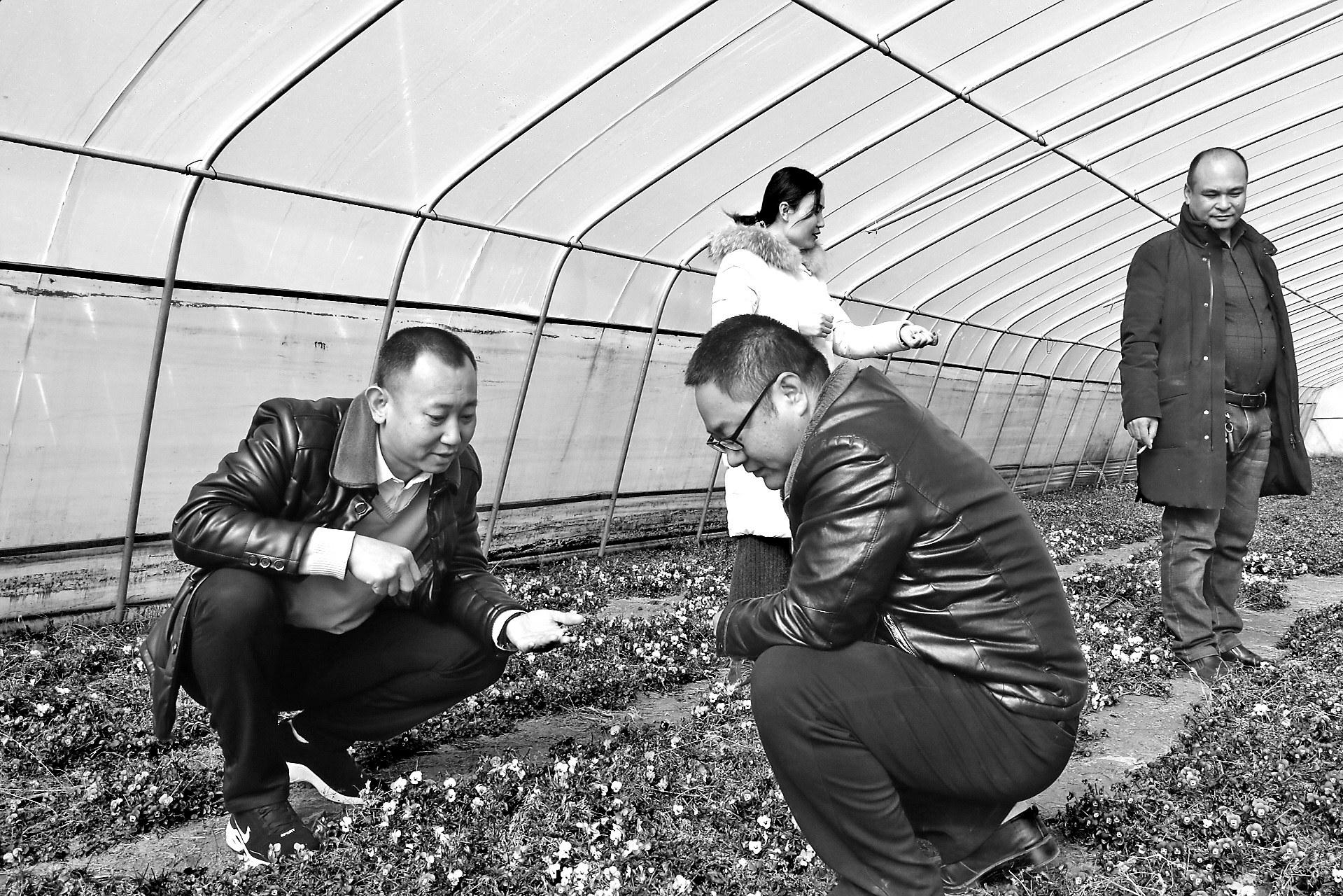 閮濅功璁拌棰戝畬鏁寸増,瀹滃窛鍘块珮婀炬潙绗竴涔﹁閮濊瘹