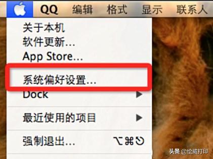 苹果系统怎么连接打印机扫描文件,苹果系统怎么连接打印服务器
