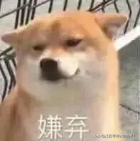 专转本的院校选择,专转本的学院