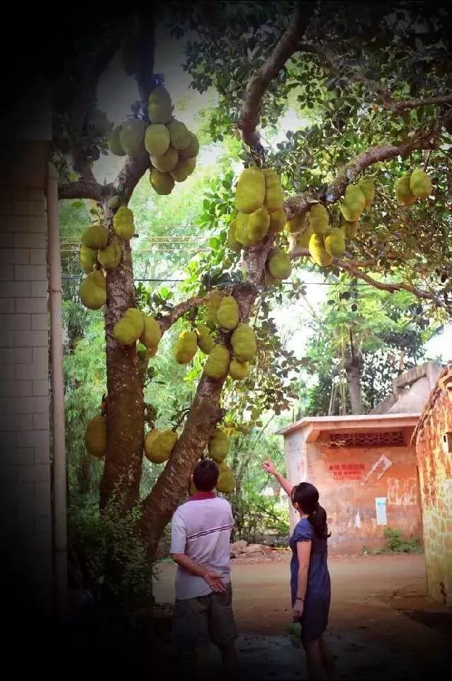 距海南仅20km，这个处女地比台湾风情、比三亚便宜，你错过了吗？