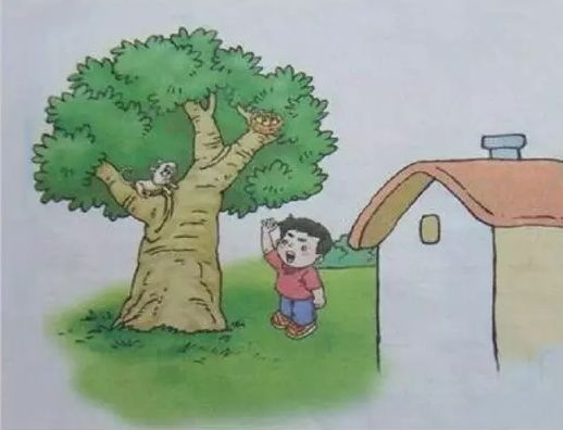 看图写话小孩不会学,小学生不会写看图写话怎么办