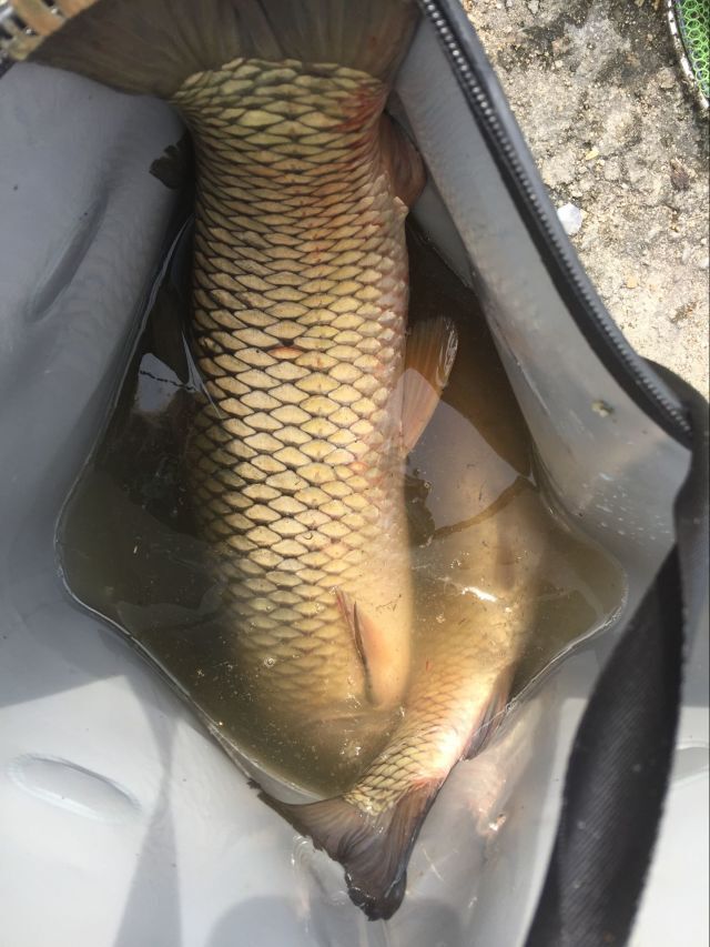 夏季钓鱼用的鱼线怎么选,钓鱼技巧鱼线的选购