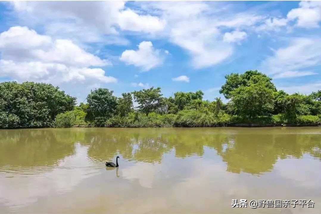 广州遛娃旅游推荐路线攻略,广州遛娃清单升级版