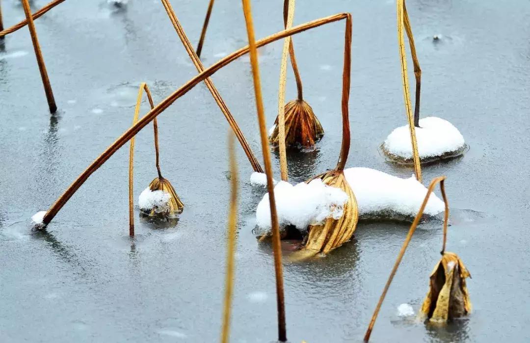 今天立冬养生秘诀全攻略,冬日藏精养肾