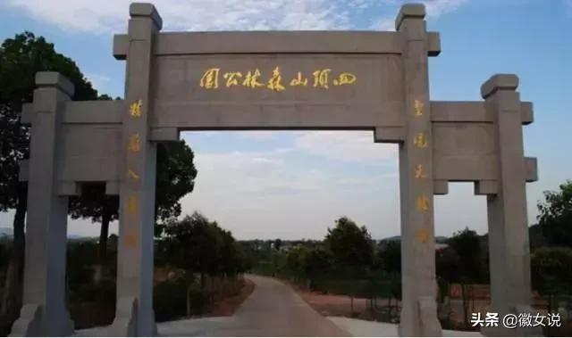 合肥各个区pk郑州,合肥是全国最漂亮的城市吗