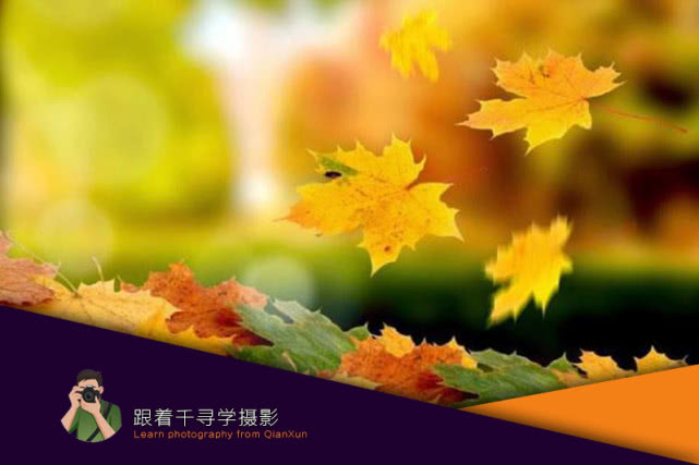 落叶怎么拍出高级感的视频人物,如何拍摄落叶效果最好