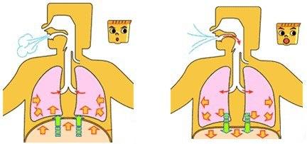 气球和塑料瓶变废为宝！7款科学小实验，在家轻松培养孩子创造力