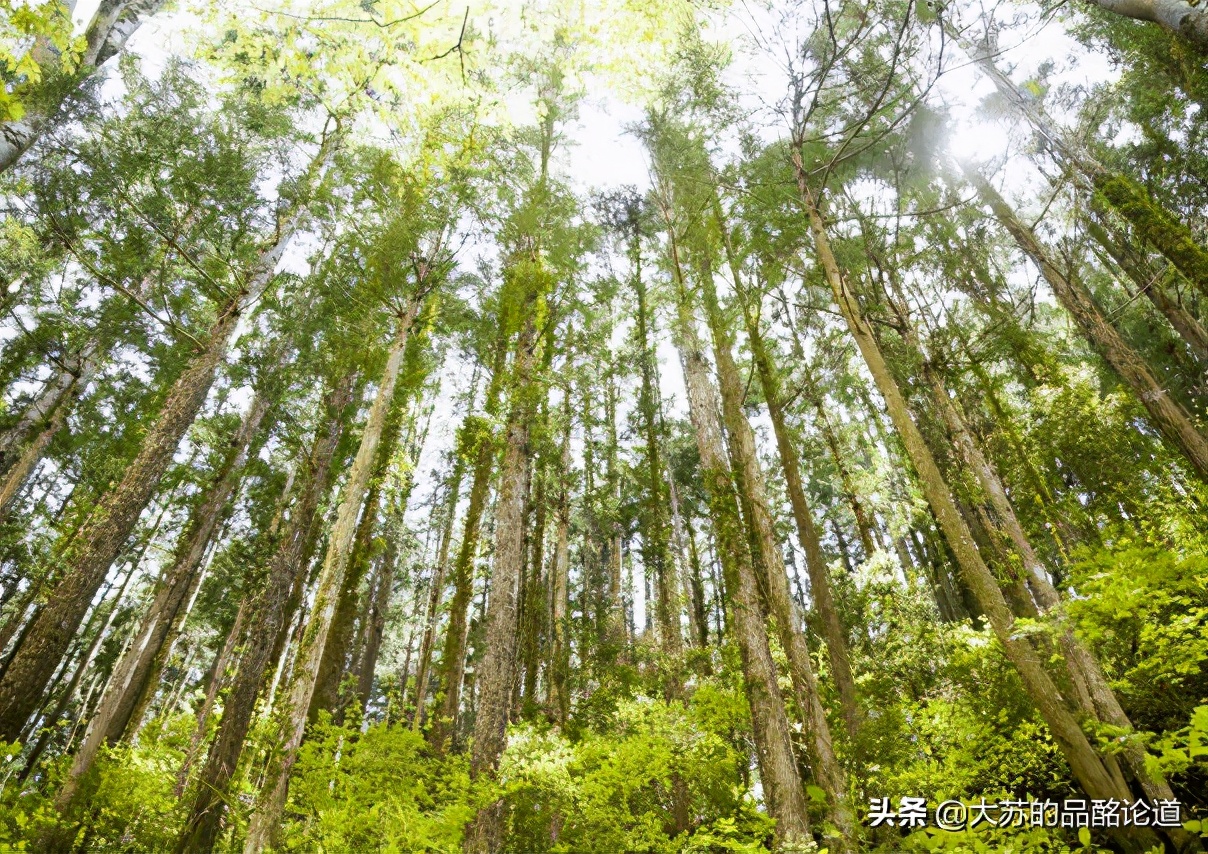 稀奇古怪的洋酒,盘点日本脑洞大开食物
