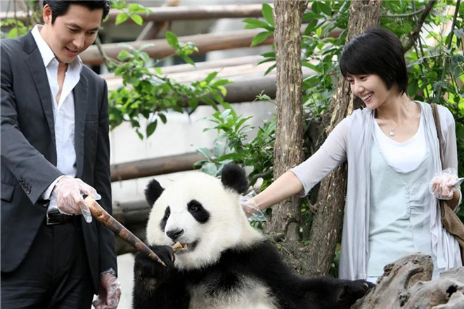 缅怀汶川大地震十周年,纪念汶川大地震十周年纪实