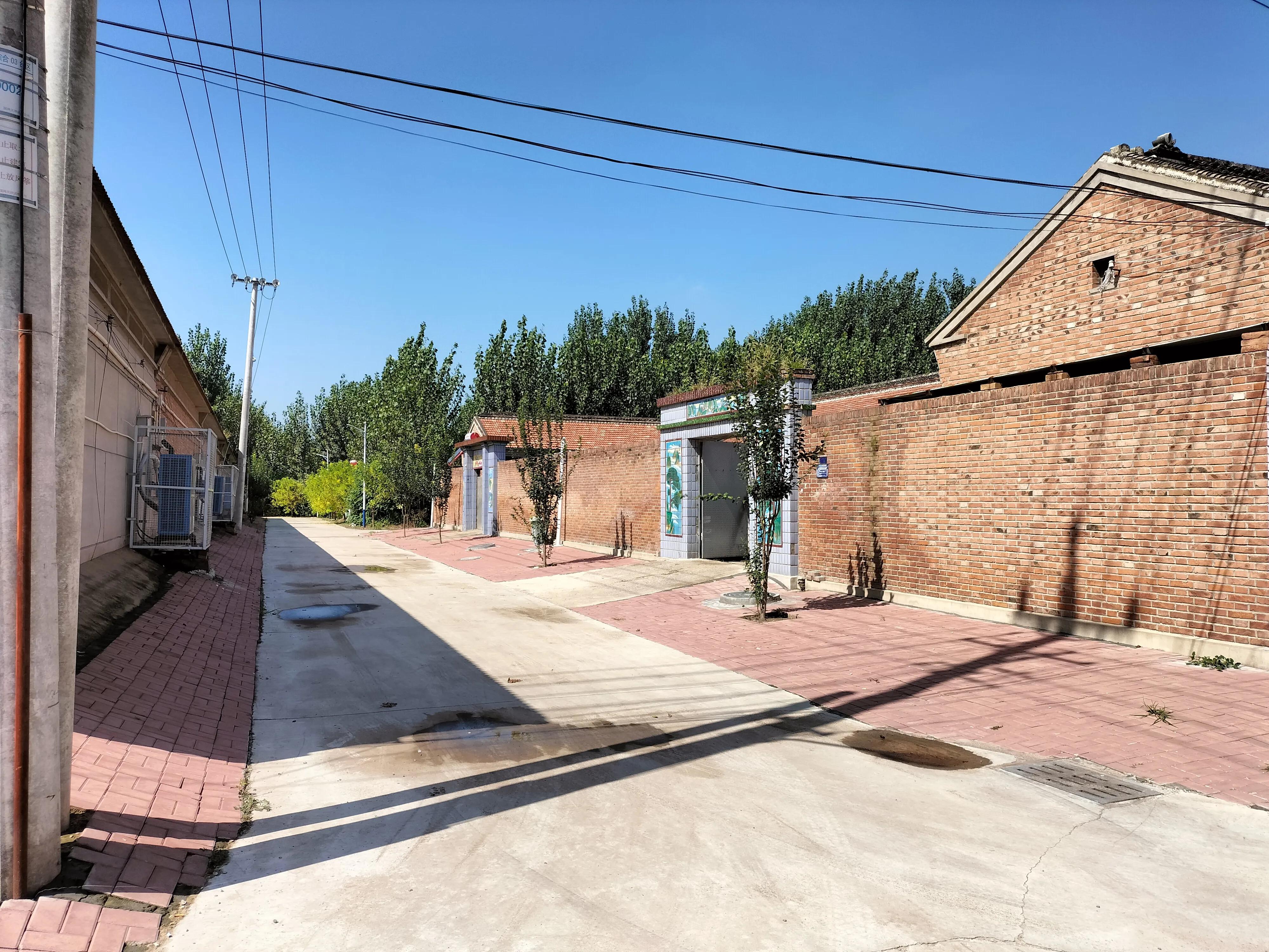 采访记录表模板,采访记录表四年级下册