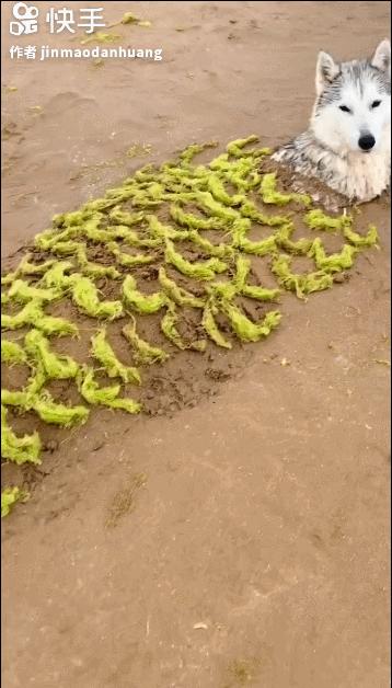 消防员吞下第11个包子,消防员吃下11个包子当晚餐