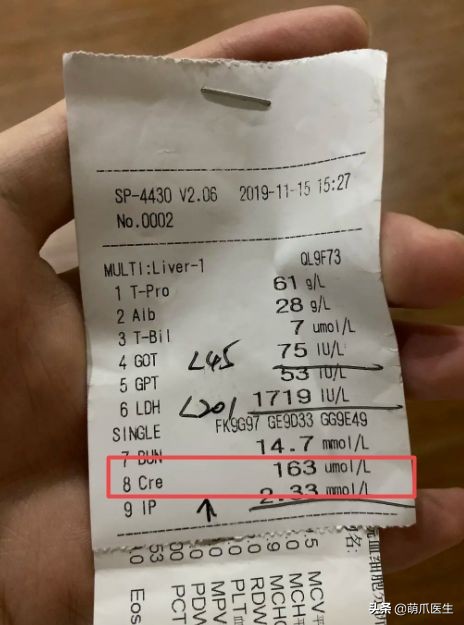 go猫粮翻车了怎么处理,猫吃猫粮死了