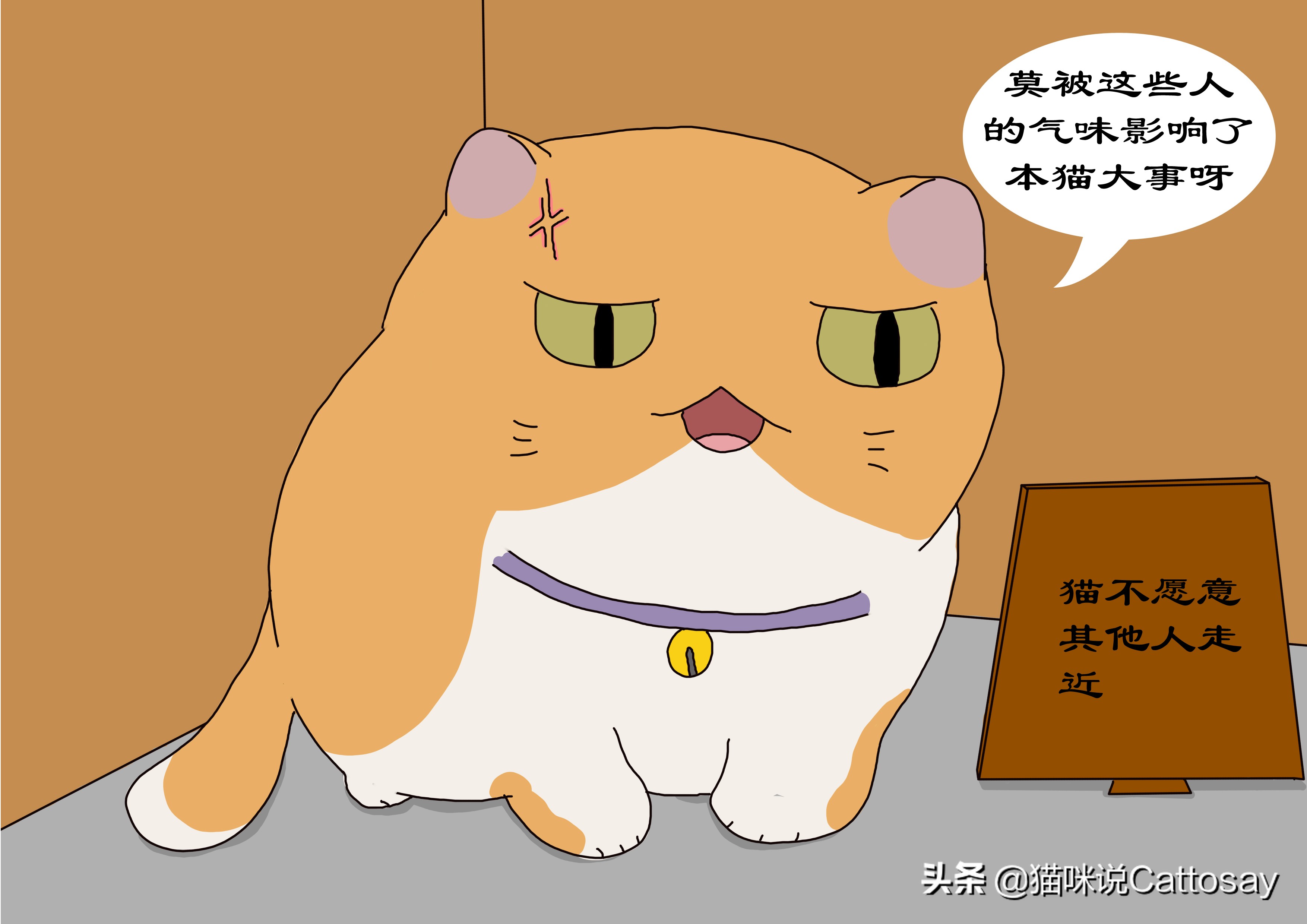启禀铲屎官：您的猫跑了，猫想跑时会有3个细节
