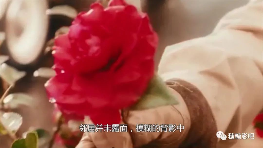 可爱的骨头凶手的结局,可爱的骨头最后凶手抓到了吗