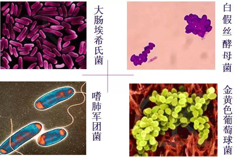 空调泡沫清洁剂清洗空调视频,泡沫清洗剂清洗空调流程