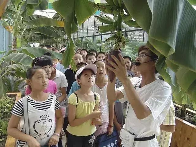 田园综合体的温室大棚，怎么做更有价值