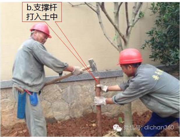 园林景观交付前十三道评估项,园林交付评估细节有哪些