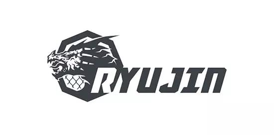 以龙为元素的logo图片,龙logo极简设计