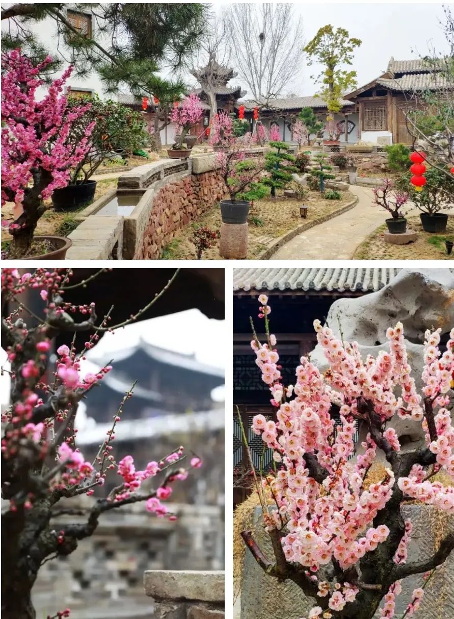 建业足球小镇现在重修状况,建业足球小镇现状