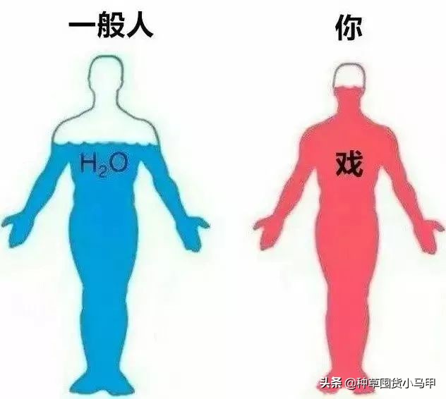 怎样才能看出来代购是真是假,警惕虚假代购骗局