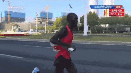 马拉松赛一般有多少个兔子,马拉松兔子都是很厉害的吗