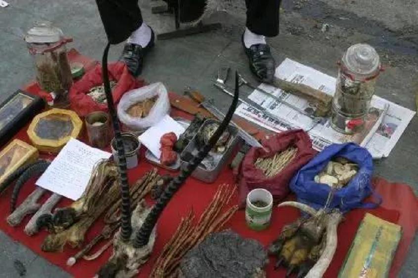 虎骨作假工艺,假虎骨揭秘