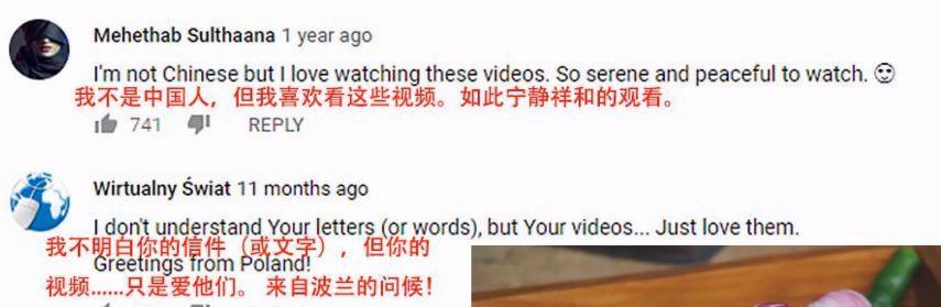 她在全世界圈粉,却在国内挨骂