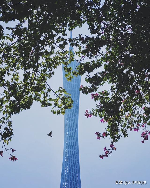 手机拍摄技巧iphone入门,0基础学会iphone拍摄技巧