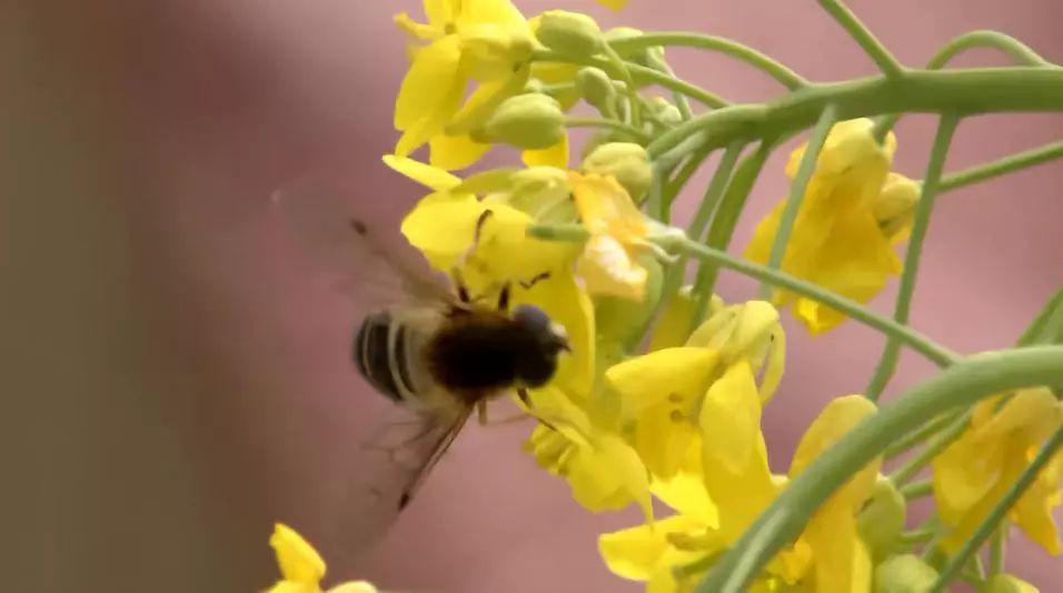 别人创业,创业该怎么做才能成功