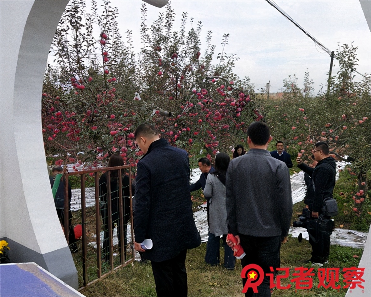 走进苹果之乡,吉县苹果小镇