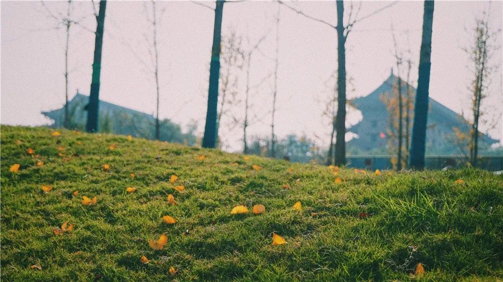 西安八月约会最佳地点,西安周末情侣最适合约会的地方