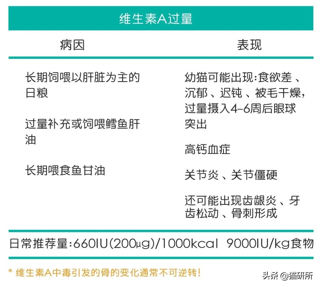 猫咪容易生病补充什么维生素,猫咪维生素a中毒症状是什么