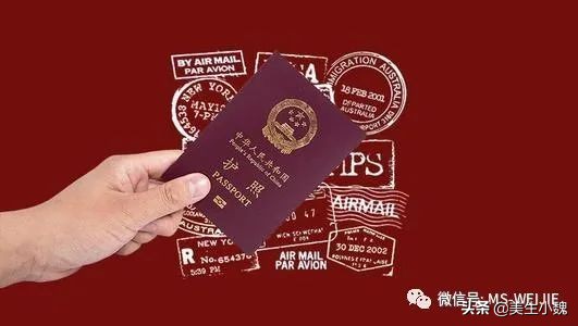 美宝回国坐飞机,美宝坐飞机