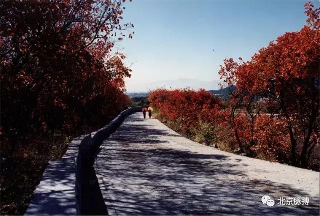 画说回龙观,北京最漂亮的森林公园