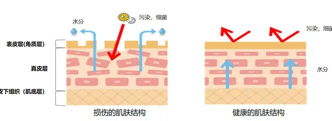 春雨蜂蜜面膜真实测评,春雨蜂蜜面膜用法及功效