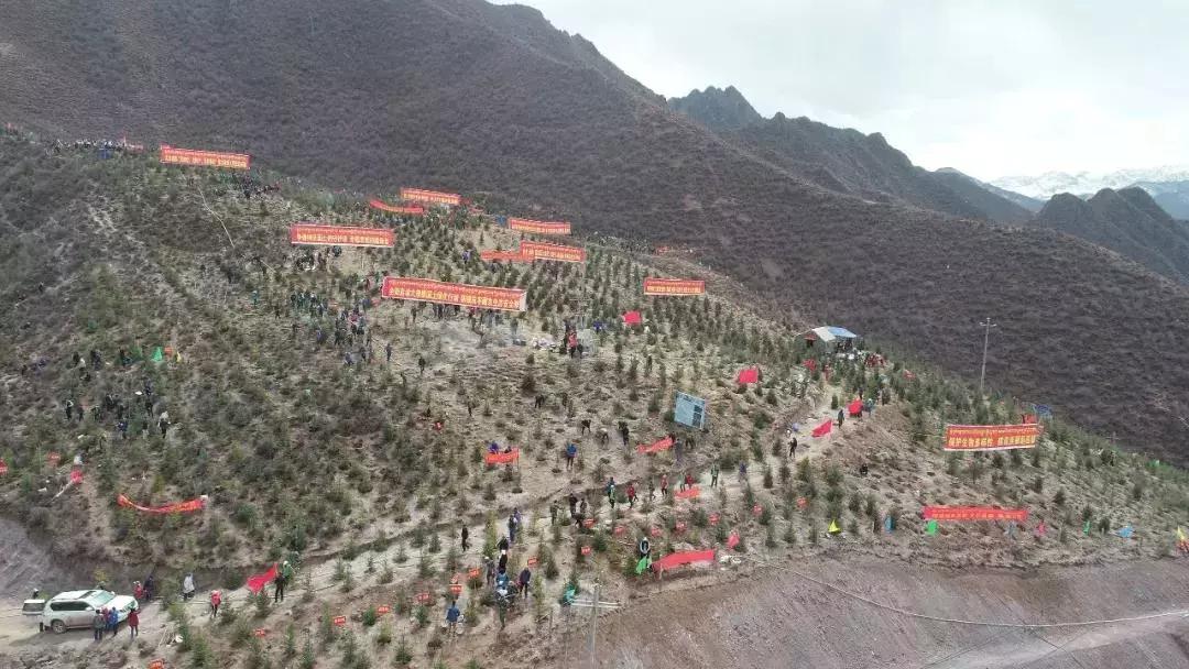 昌都市环境卫生,昌都空气环境排名