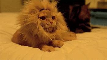 素描初学削笔器,素描专用削铅笔器