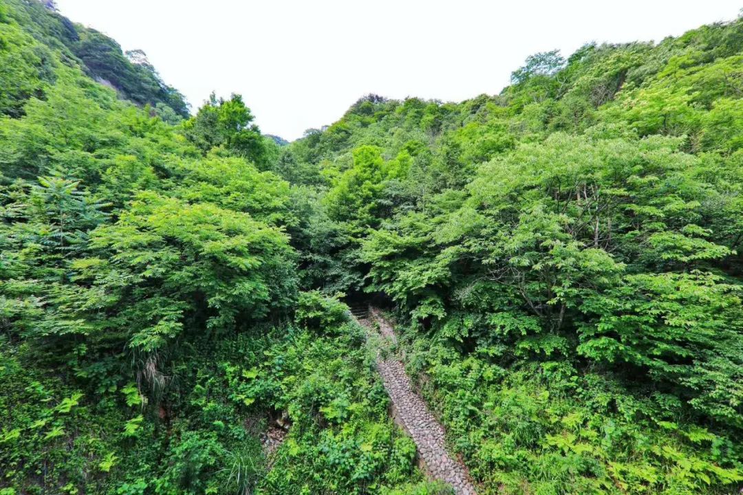 16℃的夏天,26亿年前形成的峡谷,奇山瀑布,全藏在六安天然氧吧