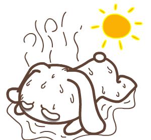 气温太高引起的病叫什么,持续高温39度多带来的后果