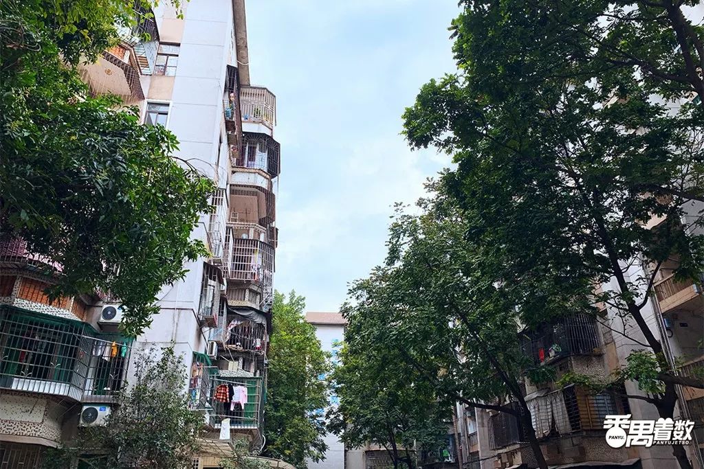 在广州番禺区居住怎么样,住在番禺的人的感受