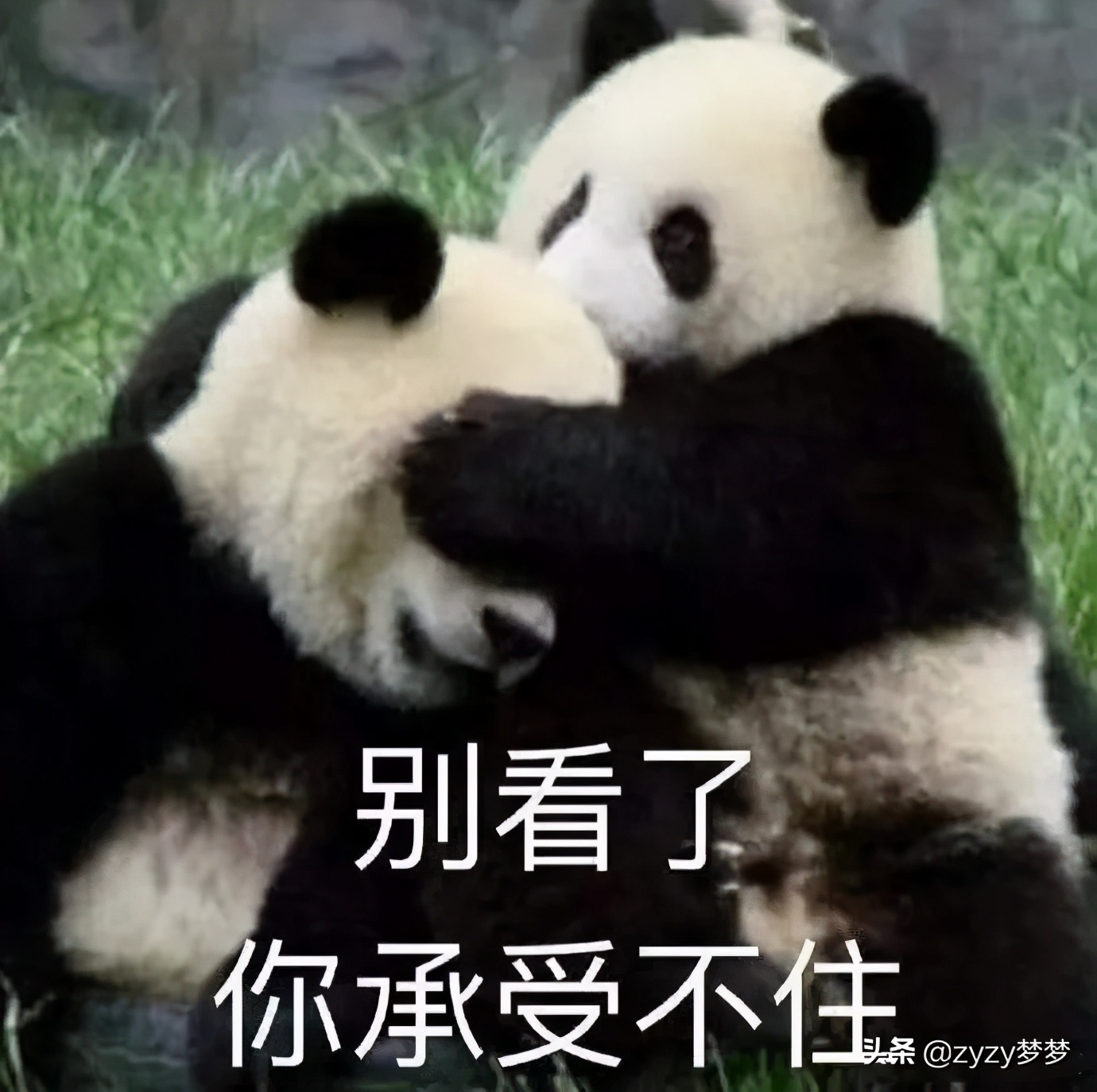 双11必买清单美妆大牌,日本大牌美妆捡漏双11必买单品