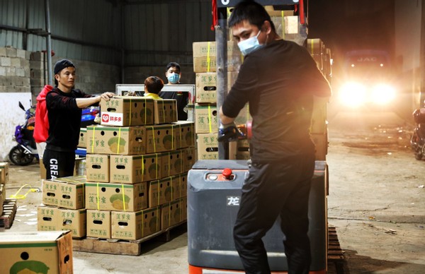 拼多多月销10万菠萝蜜,卖菠萝蜜发家致富