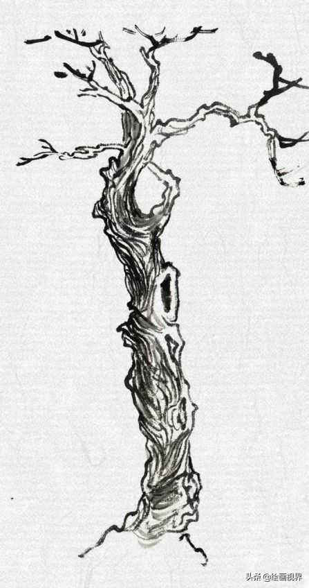 中国画零基础入门技巧,中国画传统画树技法